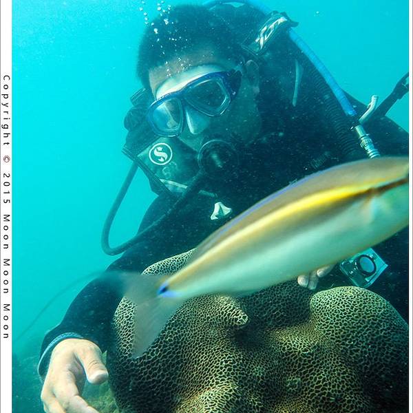 2019涠洲岛潜水门票,涠洲岛涠洲岛潜水游玩攻略,涠洲岛潜水游览攻略路线\/地址\/门票价格-【去哪儿攻略】