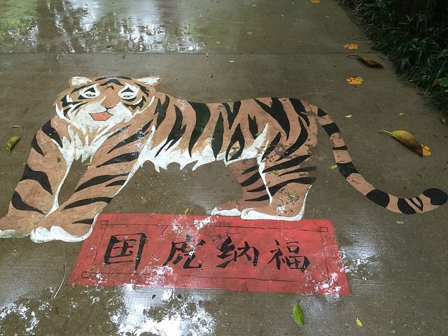 2017今天我们要游玩长隆野生动物世界,下雨天