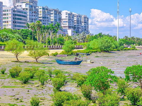 观海长廊旅游景点图片