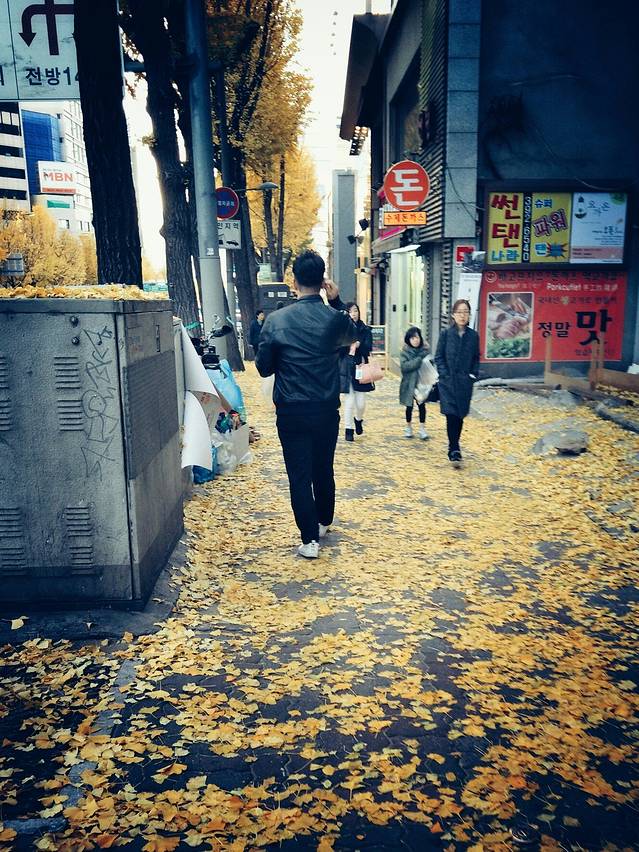 【我在首尔天气晴】七天首尔暴走之旅