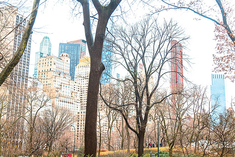 2017【纽约旅游攻略】纽约自助游_周边游攻略