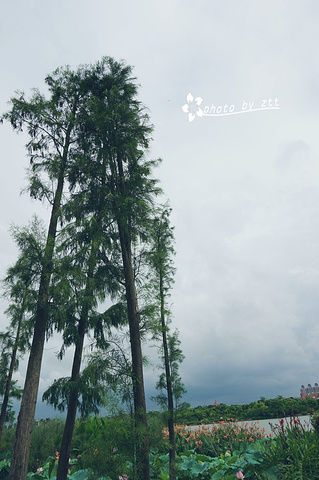 "风景还是蛮不错的，这时候天气开始有点阴沉，感觉要下雨了。停下来，看看风景，喝个水呗_海珠国家湿地公园"的评论图片