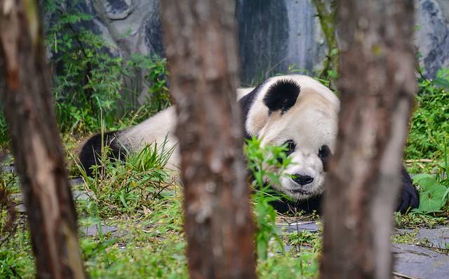 蜂桶寨邓池沟景区