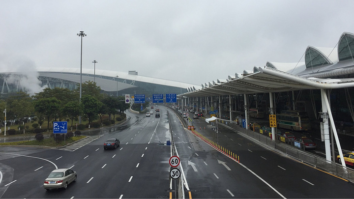 广州真不愧为花都,也难怪每年的花市越来越有名_白云国际机场"的