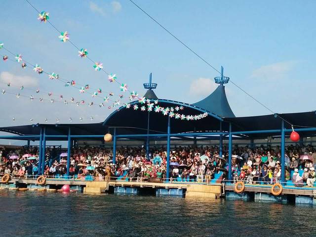 分界洲岛海洋馆