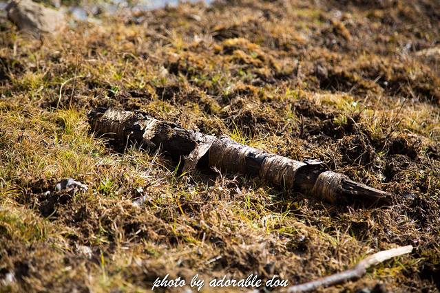 去云南净化一下心灵(附诺邓村攻略)--云南6日自