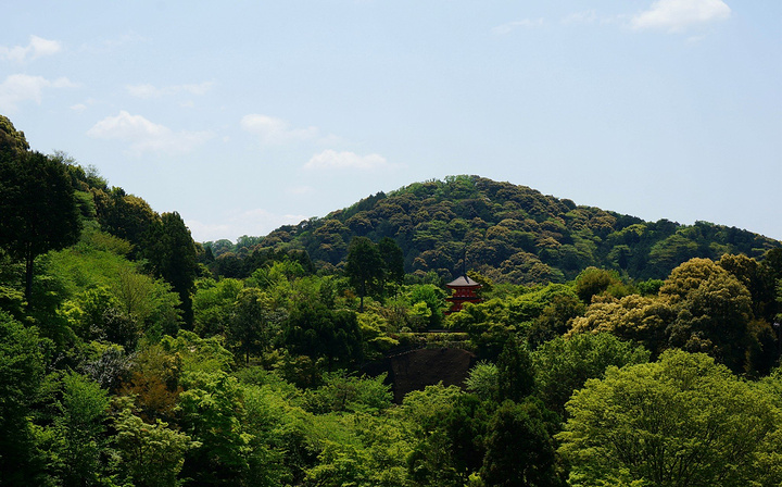 票很漂亮,可以当书签的呦!比起我们对待汉服的