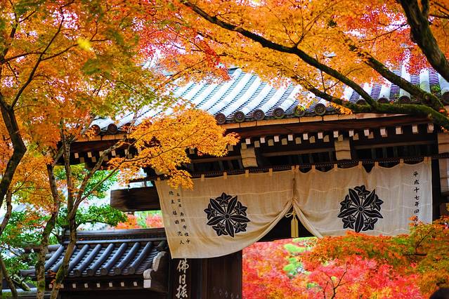 禅林寺 (永観堂)