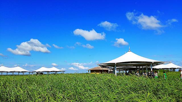 扎龙生态旅游区