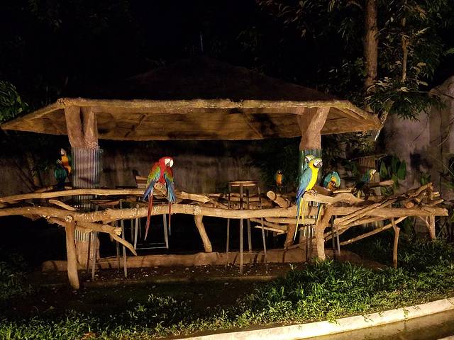 清迈,感受你的小清新(贾姐姐清迈、拜县7日游