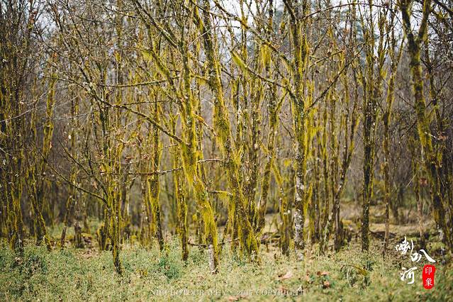 二郎山喇叭河风景区