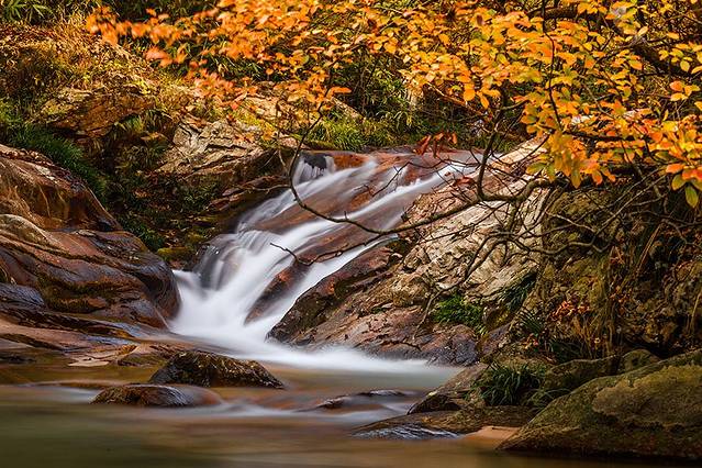 鹞落坪国家级自然保护区