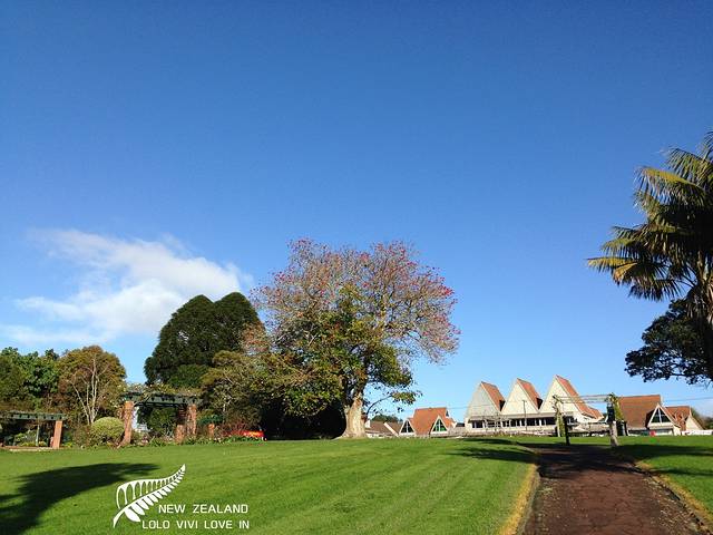 帕内尔玫瑰花园