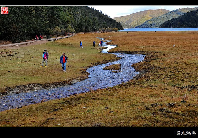 行驶一圈69公里的神话圣地普达措国家公园。