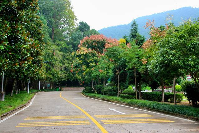 云和湖仙宫景区