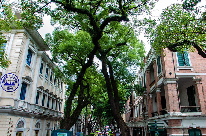 2017沙面公园中有很多领事馆旧址和教堂,是了解老广州必须去的一个地方。沙面的下午开始变得魅力十足_沙面评论 - 去哪儿攻略社区