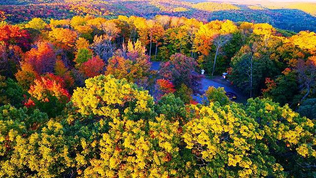 阿尔冈金省立公园