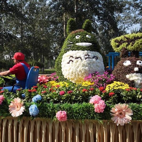 盆栽花卉购买地方在哪里 0ea4dca65dd561b5.jpg_600x600x70_9359349a.jpg