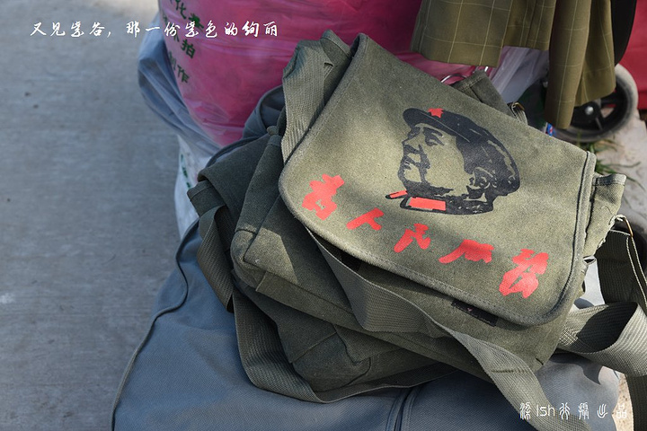 .、5 月,二月兰、油菜花盛开迎宾,6 月中旬熏衣