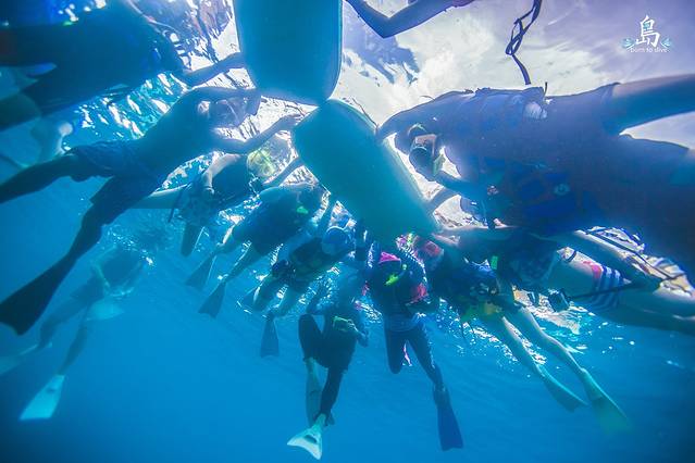 【兔美酱在路上】写一首帕劳的诗,做一条固执