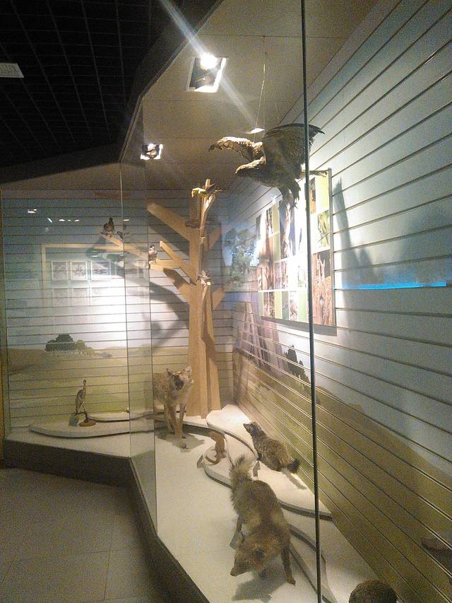 泰山地质公园博物馆