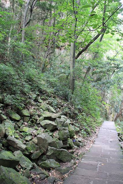 2017乱窜坡_旅游攻略_门票_地址_游记点评,张家界旅游景点,酒店,购物