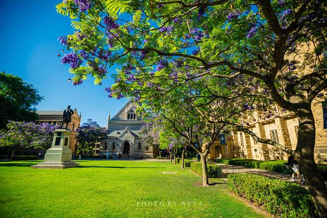 阿德莱德大学
