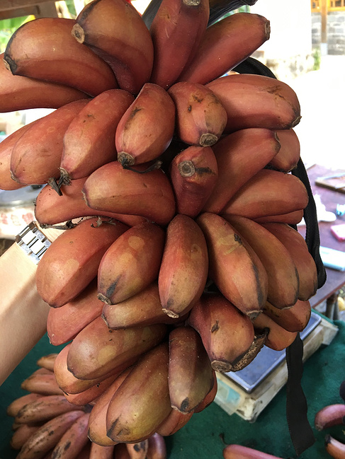 厦门南京7日游_厦门旅游攻略