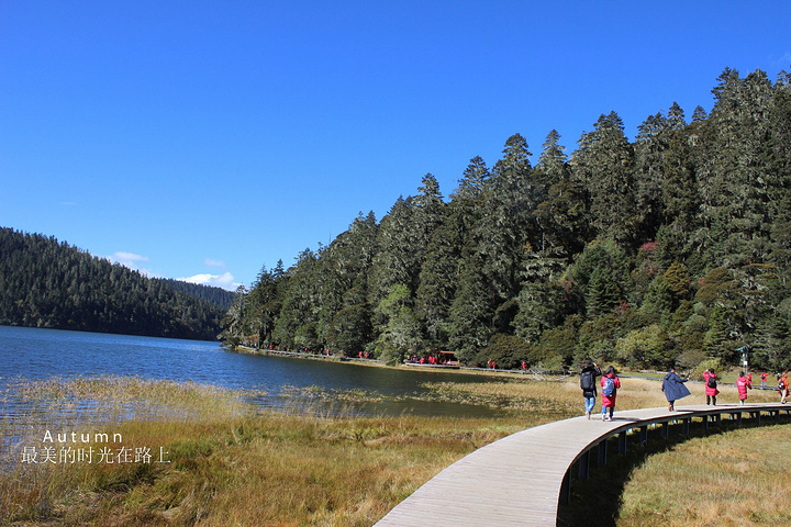 普达措国家公园, 没错,就是张杰和谢娜结婚的地