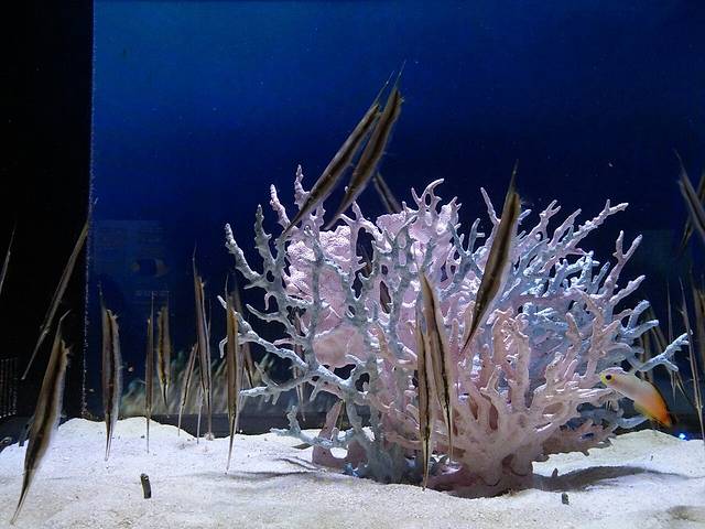 哈尔滨极地公园·海洋馆