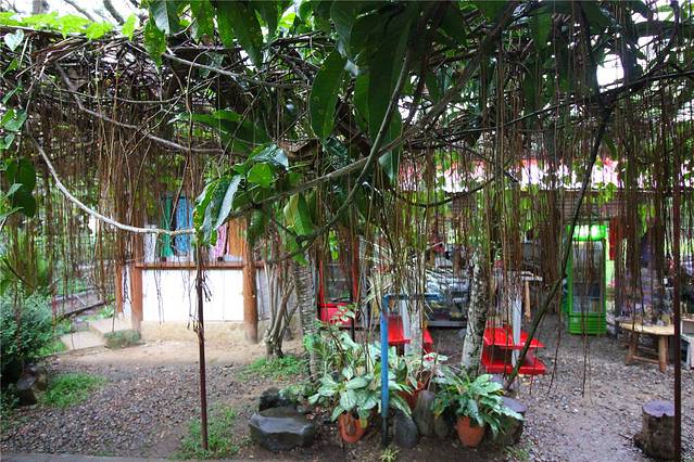 巴拉望野生生物救助和保护中心