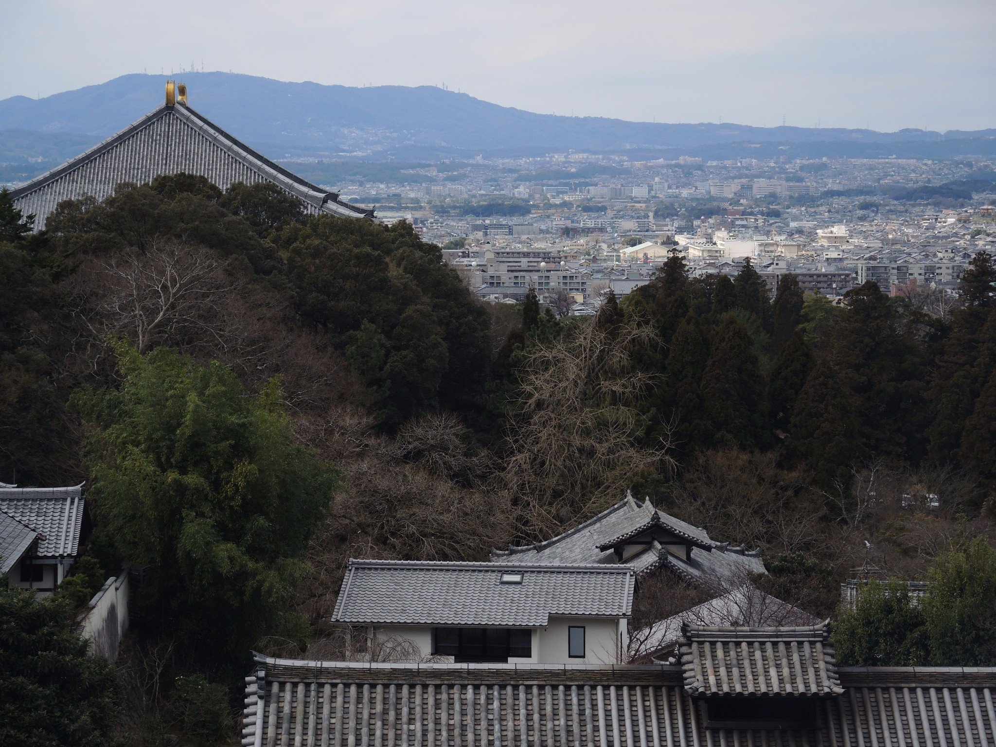 奈良俯瞰图片