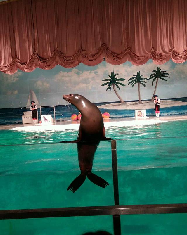 西归浦市立海洋公园