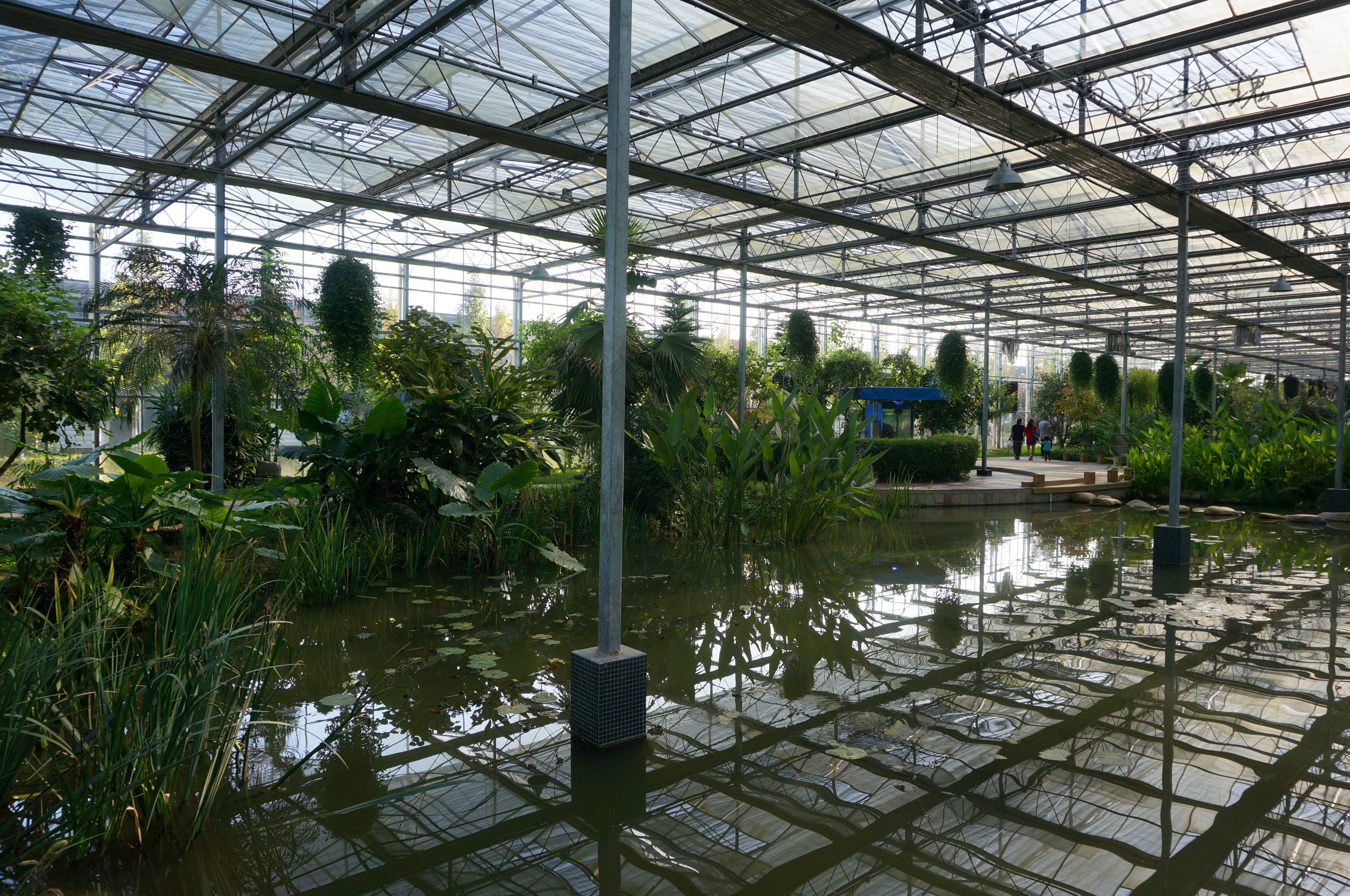 2014年国庆节太仓现代农业产业园,玫瑰庄园二日游