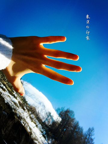 2017富士山由于天气原因,一年中只有规定的夏