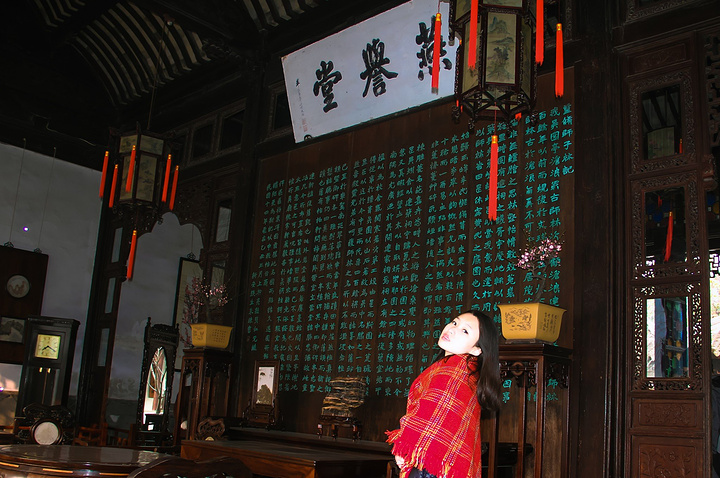 去了狮子林,小学课本里叶圣陶一篇《苏州园林