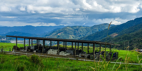 desa奶牛农场旅游景点攻略图