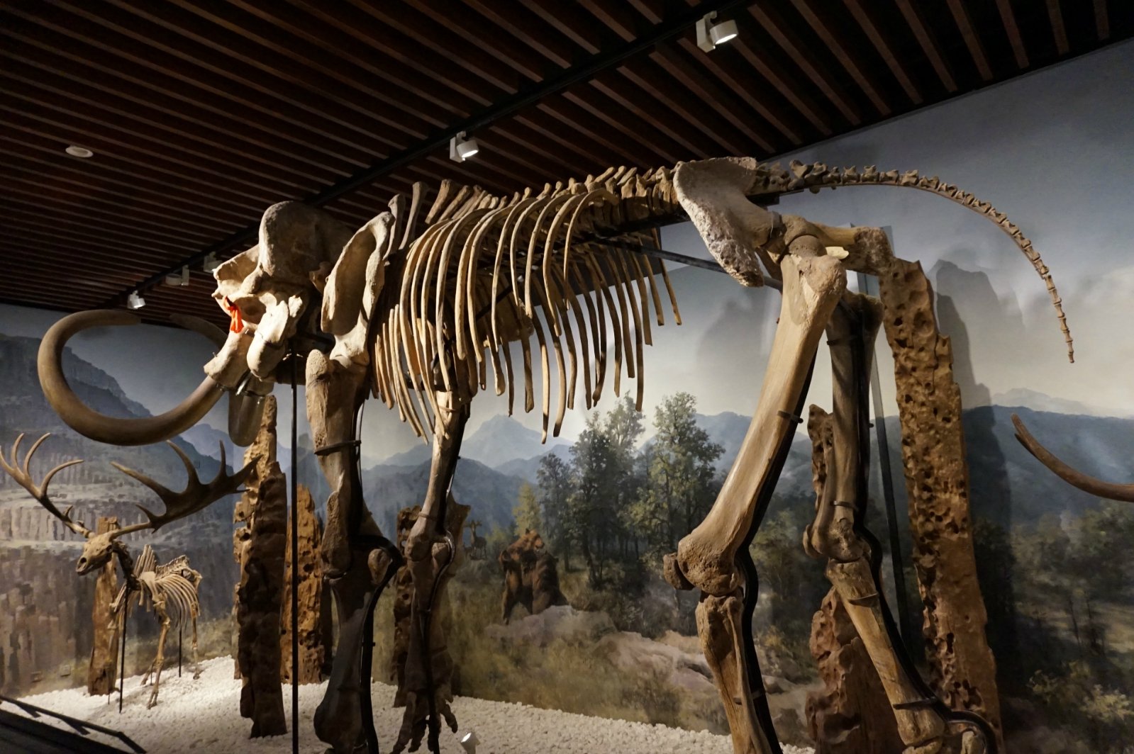 特展馆内的陈设清宫展区,展示的都是非常精致的清代文物,制作工艺精美