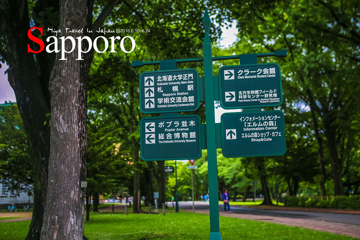 gdp增速_2018年北海gdp