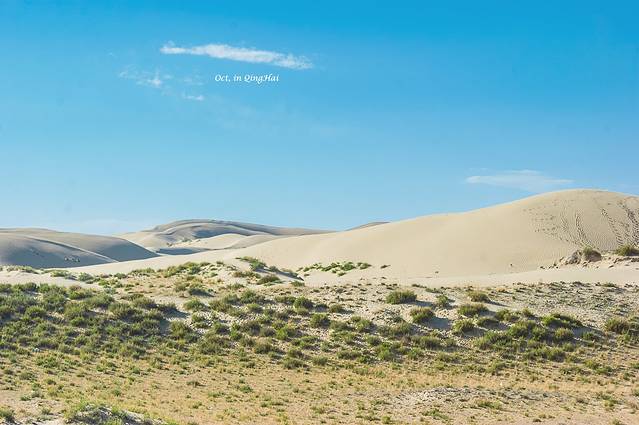 青海湖金沙湾自然保护区