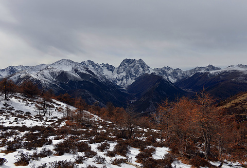 白马雪山观景台旅游景点攻略图