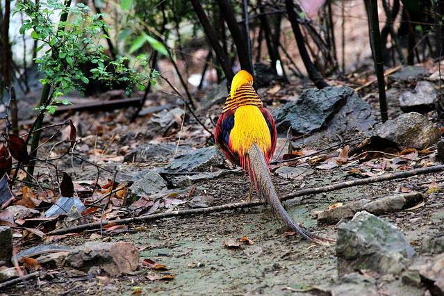 老山国家森林公园