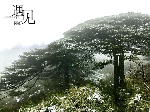 巨蟒出山旅游景点攻略图