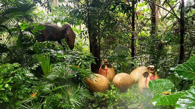 2017侏罗纪森林_旅游攻略_门票_地址_游记点评,广州旅游景点,酒店