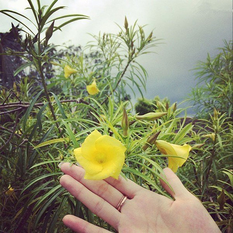 2018三亚游玩攻略,三亚交通\/住宿\/行程\/美食\/购