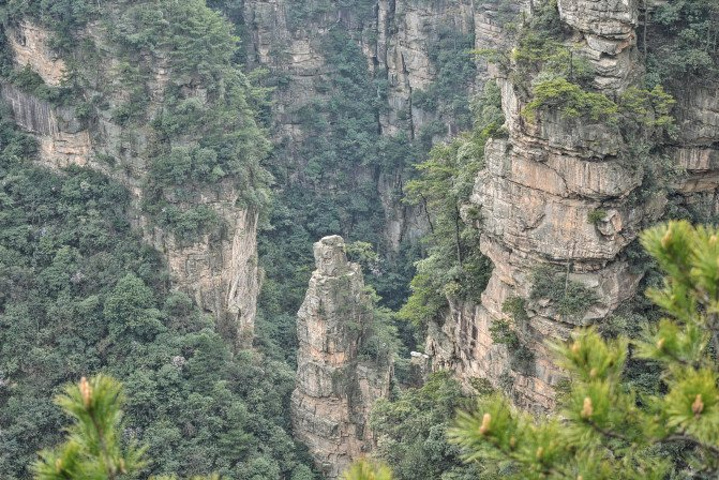 "天子山景区天子山是张家界最早开发出来的景点之一，天子山有着天下峰林“扩大的盆景，缩小的仙境”之称_张家界国家森林公园"的评论图片