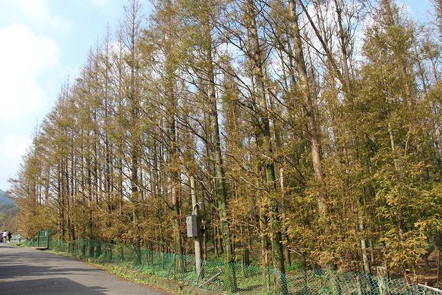 冷水坑游客服务站