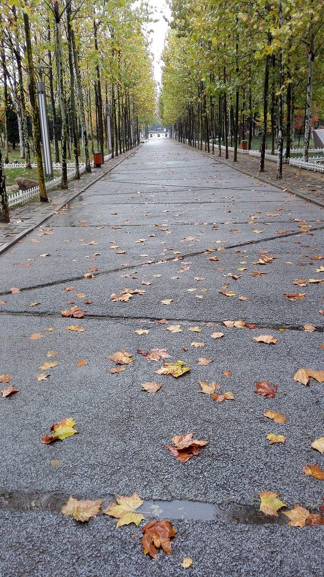 青岛太平角公园