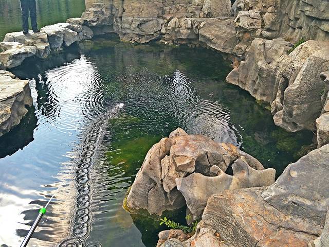 2019九女泉门票,济南九女泉游玩攻略,九女