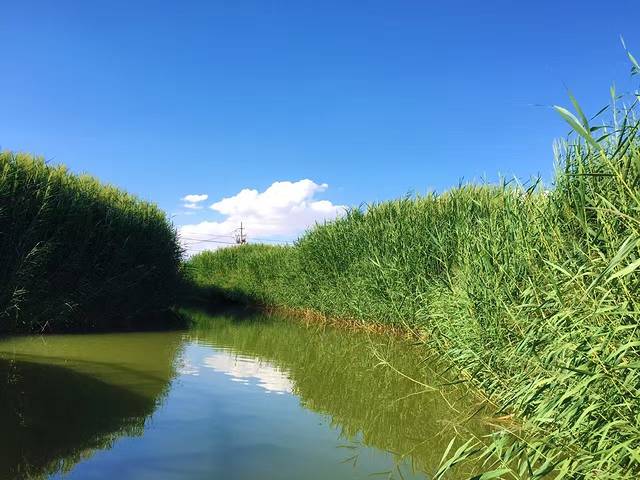 张掖国家湿地公园